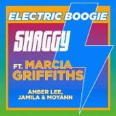 Shaggy - Electric Boogie