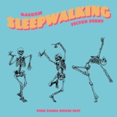 Sleepwalking (Pink Panda House Edit) artwork