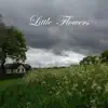 Little Flowers - Single album lyrics, reviews, download