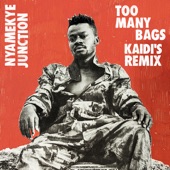 Too Many Bags (Kaidi's Remix) artwork