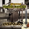 Música Norteña Mixteada (Grupero)