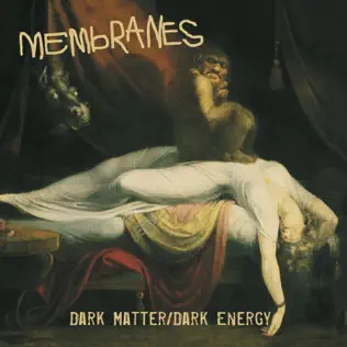 last ned album Membranes - Dark MatterDark Energy