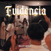 Evidencia - Single