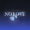 Shubh - NO LOVE artwork