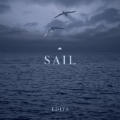 Sailor's Sonata (Edit) artwork