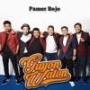 Pamer Bojo - Single
