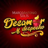 Desamor y Despecho artwork