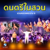 เพลง ในน้ำมีปลาในนามีข้าว artwork