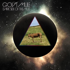 DARK SIDE OF THE MULE cover art