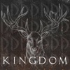 Kingdom - Single