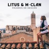 Pájaros de Desván - Single