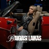 Baigiasi Laikas - Single