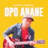 Opo Anane - Single