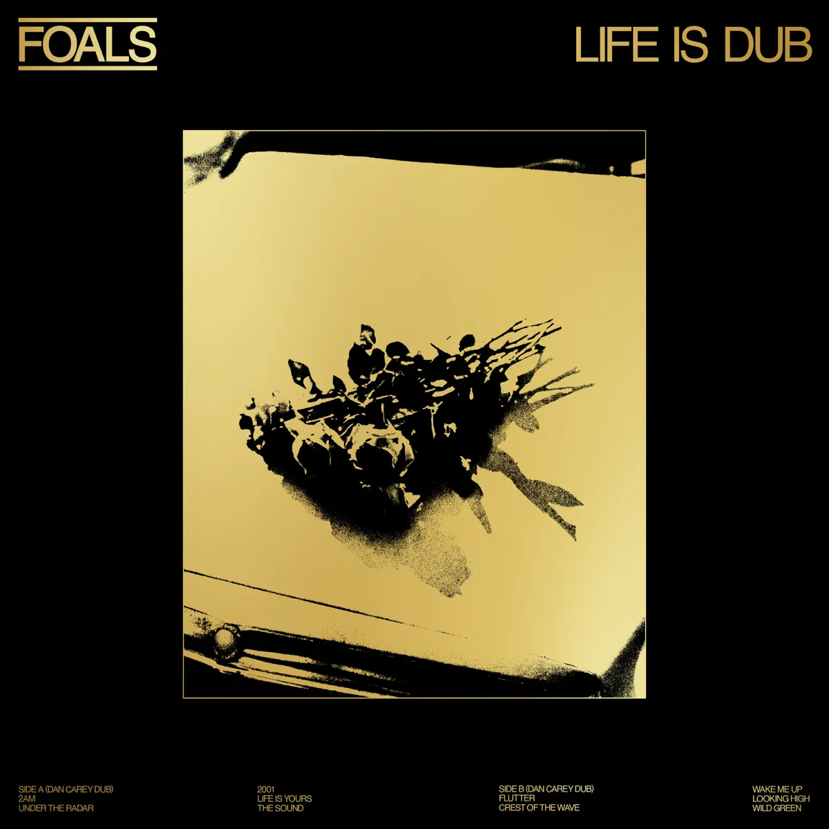 Foals - Life Is Dub (2023) [iTunes Plus AAC M4A]-新房子