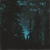 Evening Walk (wide awake Remix) - Single