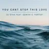 You Cant Stop This Love (feat. Gemini E Porter) - Single album lyrics, reviews, download