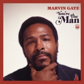 Marvin Gaye - The World Is Rated X - Alternate Mix