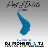 Post & Delete Remix (Champion Mix) [feat. TJ & Chris Brown] artwork