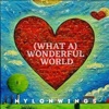 (What a) Wonderful World [Instrumental] - Single