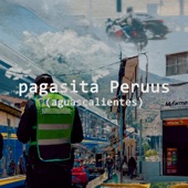 Pagasita Peruus (Aguascalientes) artwork