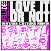 Love It or Not (feat. Infinite Coles) [Vintage Culture Remix] artwork