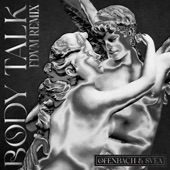 Body Talk (FDVM Remix) artwork