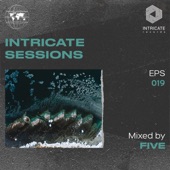 Intricate Sessions Podcast #019 (DJ Mix) artwork