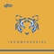 Somos Incomparables (Ella Dijo) - El Plan & Libres Y Lokos lyrics