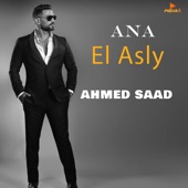 Ana El Asly artwork