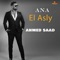 Ana El Asly artwork