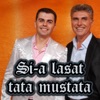 Si-a lasat tata mustata