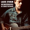 Lasse Storm - Holmegårdsvej