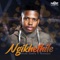 Ngikhethile (Radio Edit) [feat. Nokwazi] - Woza Sabza lyrics