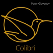 Colibri artwork