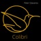 Colibri artwork