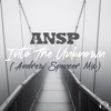 Into the Unknown (Andrew Spencer Mix) - Single