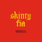 Fontaines D.C. - Skinty Fia (Edit)