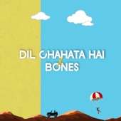 Dil Chahta Hai x Bones (Full) artwork