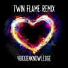 Twin Flame (Remix) [Remix] - Single album lyrics, reviews, download