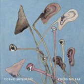 Cosmo Sheldrake - Stop the Music