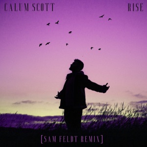 Calum Scott - Rise (Sam Feldt Remix) - Line Dance Musik