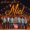 Miel - Single