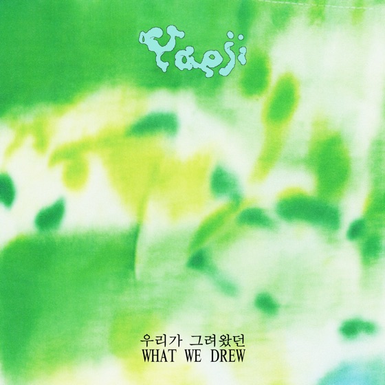 Cover artwork for NEVER SETTLING DOWN