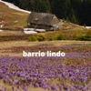 barrio lindo - Single