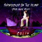 Shipwrecked On the Island (Disco House Radio Edit) artwork