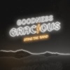 Goodness Gracious - Single