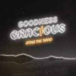 Goodness Gracious - Single by SONS THE BAND album reviews, ratings, credits