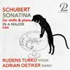 Stream & download Violin Sonata (Sonatina) in A Minor, Op. 137 No. 2, D. 385 - Single