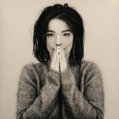 Björk - There's More to Life Than This (Live at the Milk Bar Toilets)
