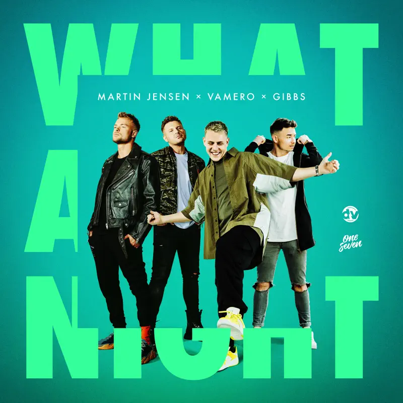 Martin Jensen, VAMERO & Gibbs - What a Night - Single (2023) [iTunes Plus AAC M4A]-新房子